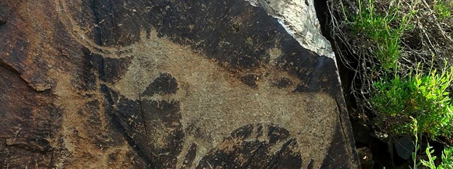 Тур «Тайны Танбалы: путешествие к петроглифам ЮНЕСКО в сердце Центральной Азии» в —