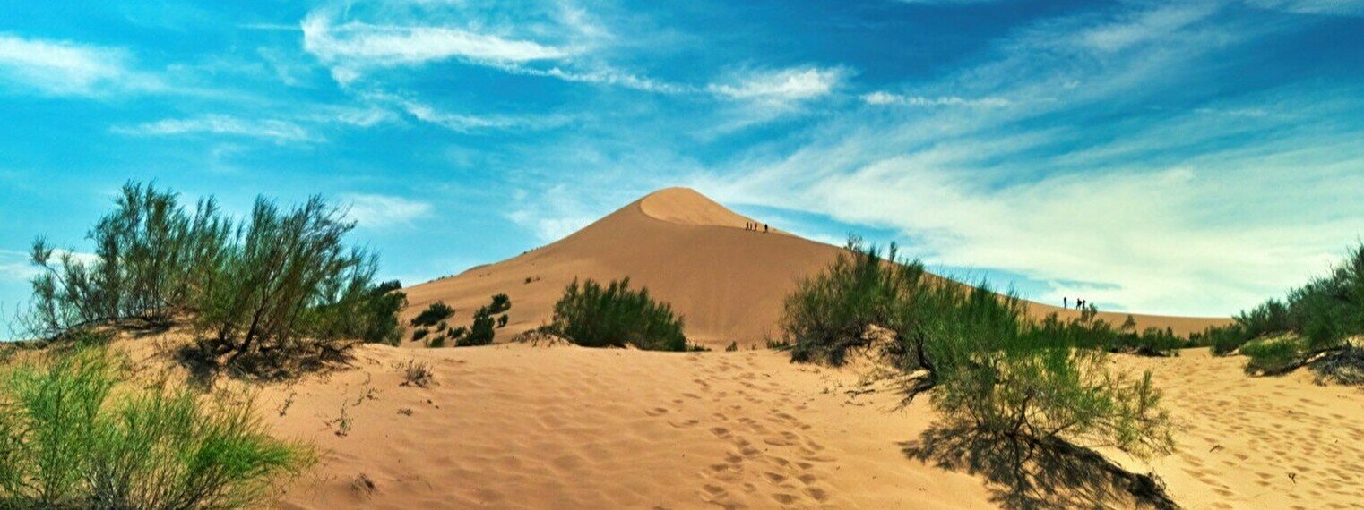 Тур на внедорожниках «Алтын Эмель – Поющий Бархан» в —