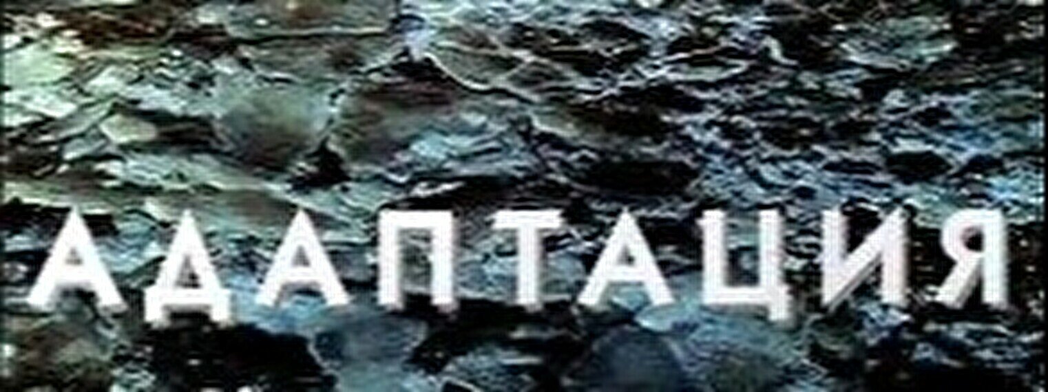 Концерт группы Адаптация в Алматы в Алматы