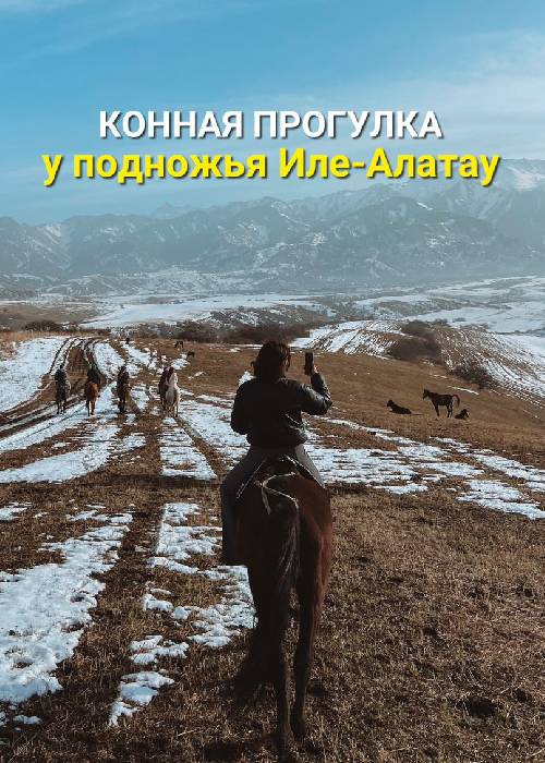 Конная прогулка у подножья Иле-Алатау в —